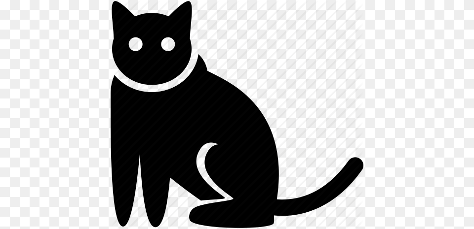 Cat Pet Sitting Icon, Animal, Mammal Png Image
