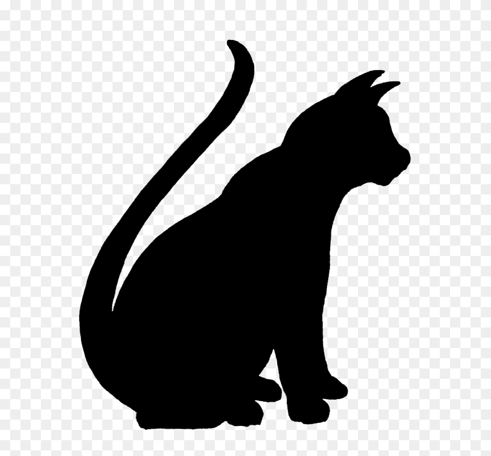 Cat Pet Sitting Kitten Silhouette Clip Art, Gray Free Transparent Png