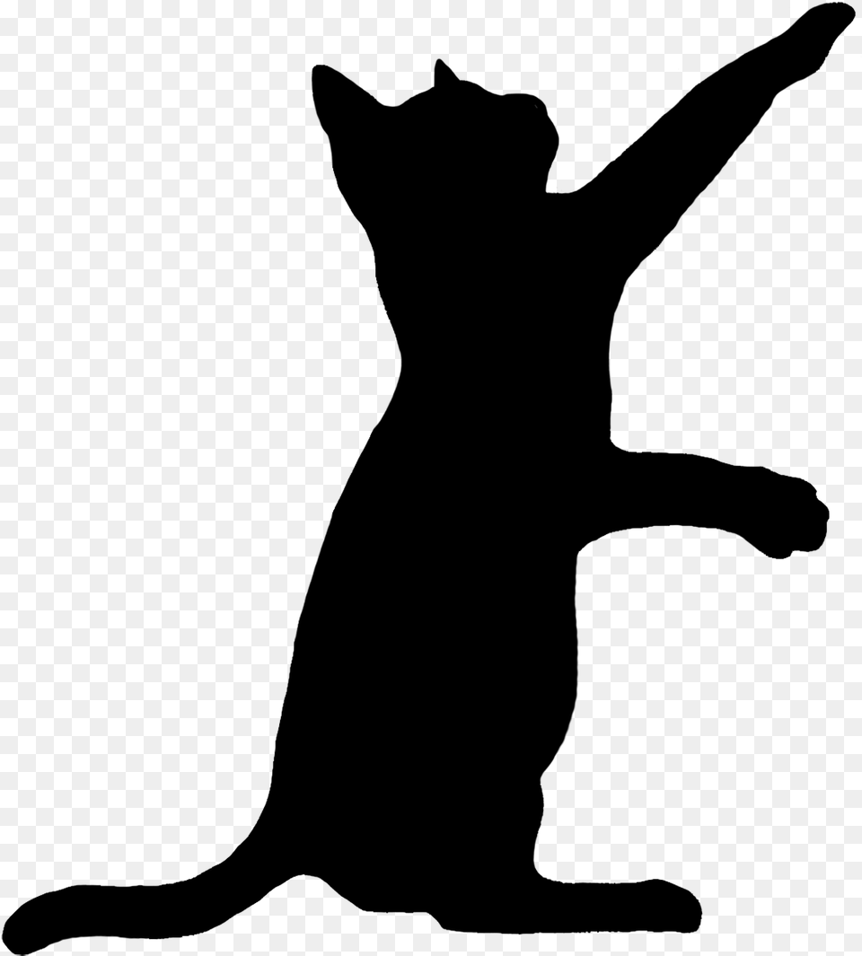 Cat Playing Silhouette Black Cat Tattoo Men, Gray Free Png Download