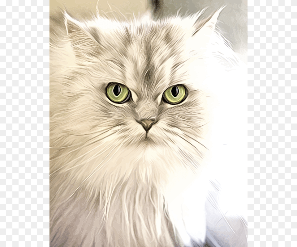 Cat Portrait Painting Cat Illustration Fur, Angora, Animal, Mammal, Pet Free Transparent Png