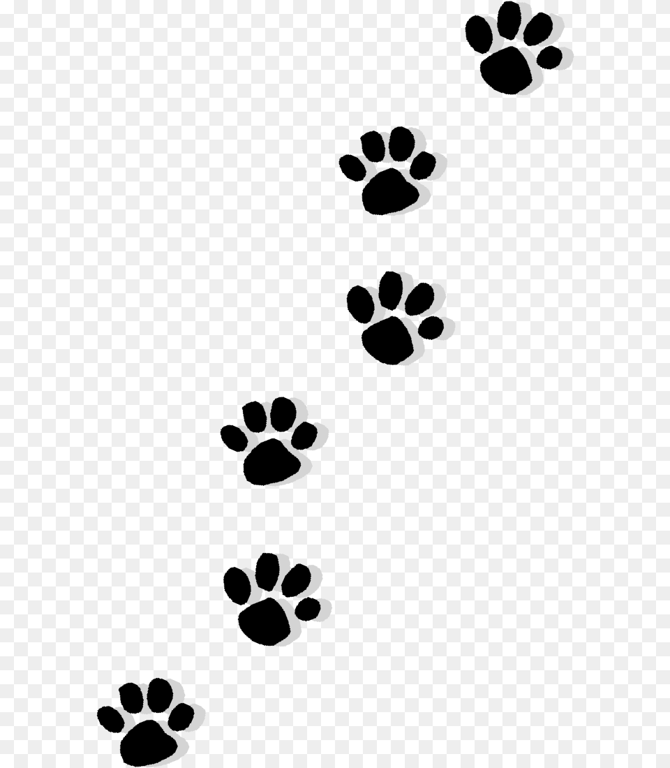 Cat Puppy Dachshund Paw Printing Paws And Claws, Text, Symbol, Alphabet, Ampersand Png