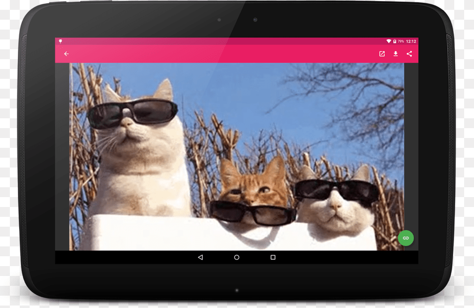 Cat Puts On Sunglasses Gif, Accessories, Computer, Electronics, Tablet Computer Free Png