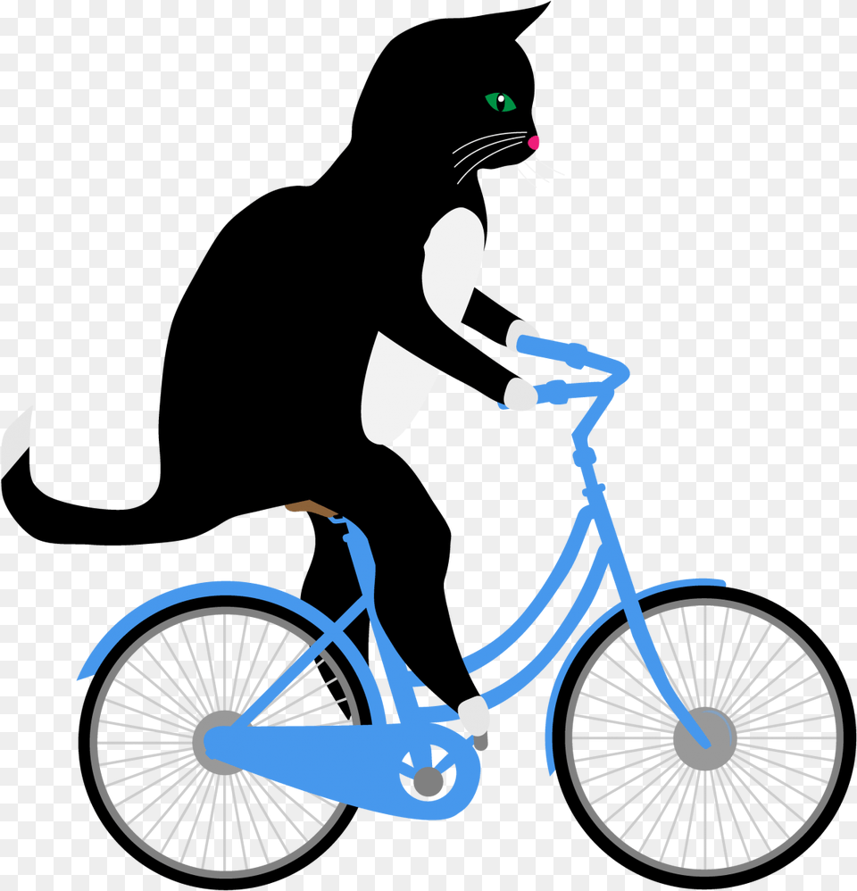 Cat Riding Bicycle Stock Photo Cat On A Bike, Machine, Transportation, Vehicle, Wheel Free Png