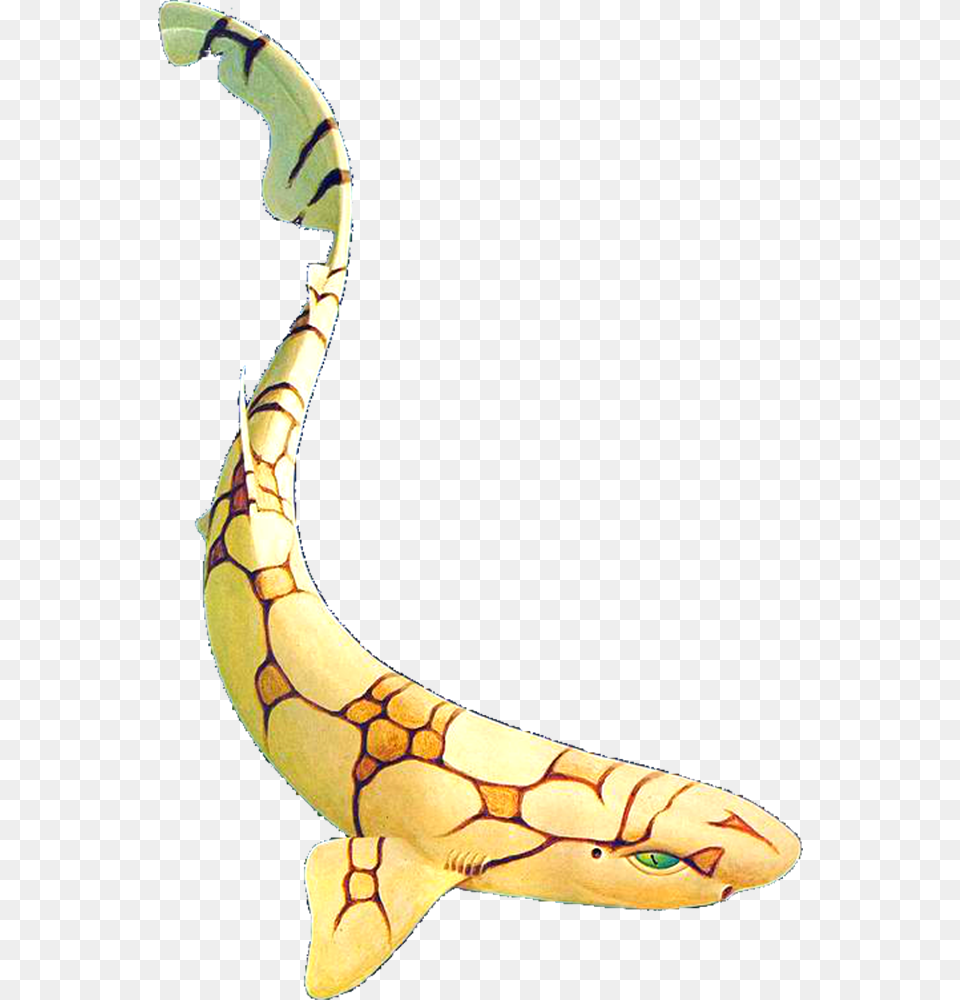 Cat Shark Snake, Banana, Food, Fruit, Plant Png Image