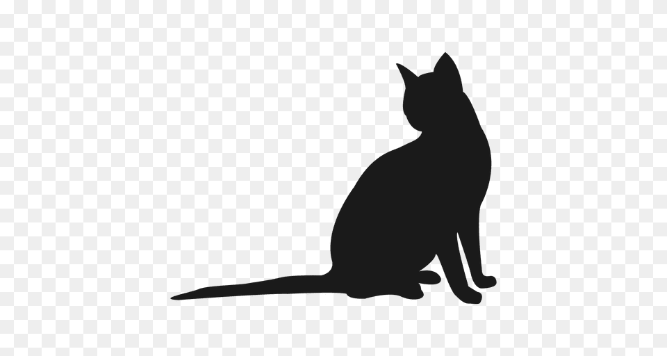 Cat Silhouette, Animal, Mammal, Pet, Black Cat Free Png Download
