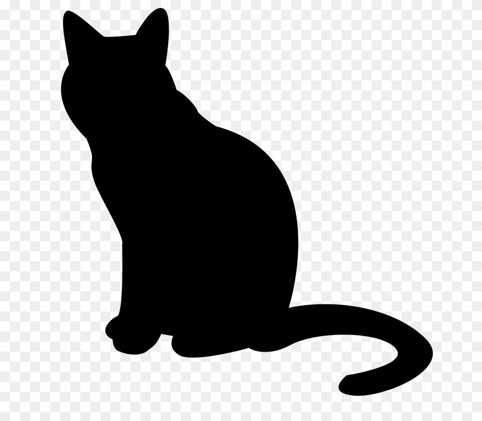 Cat Silhouette, Animal, Mammal, Pet, Black Cat Png Image