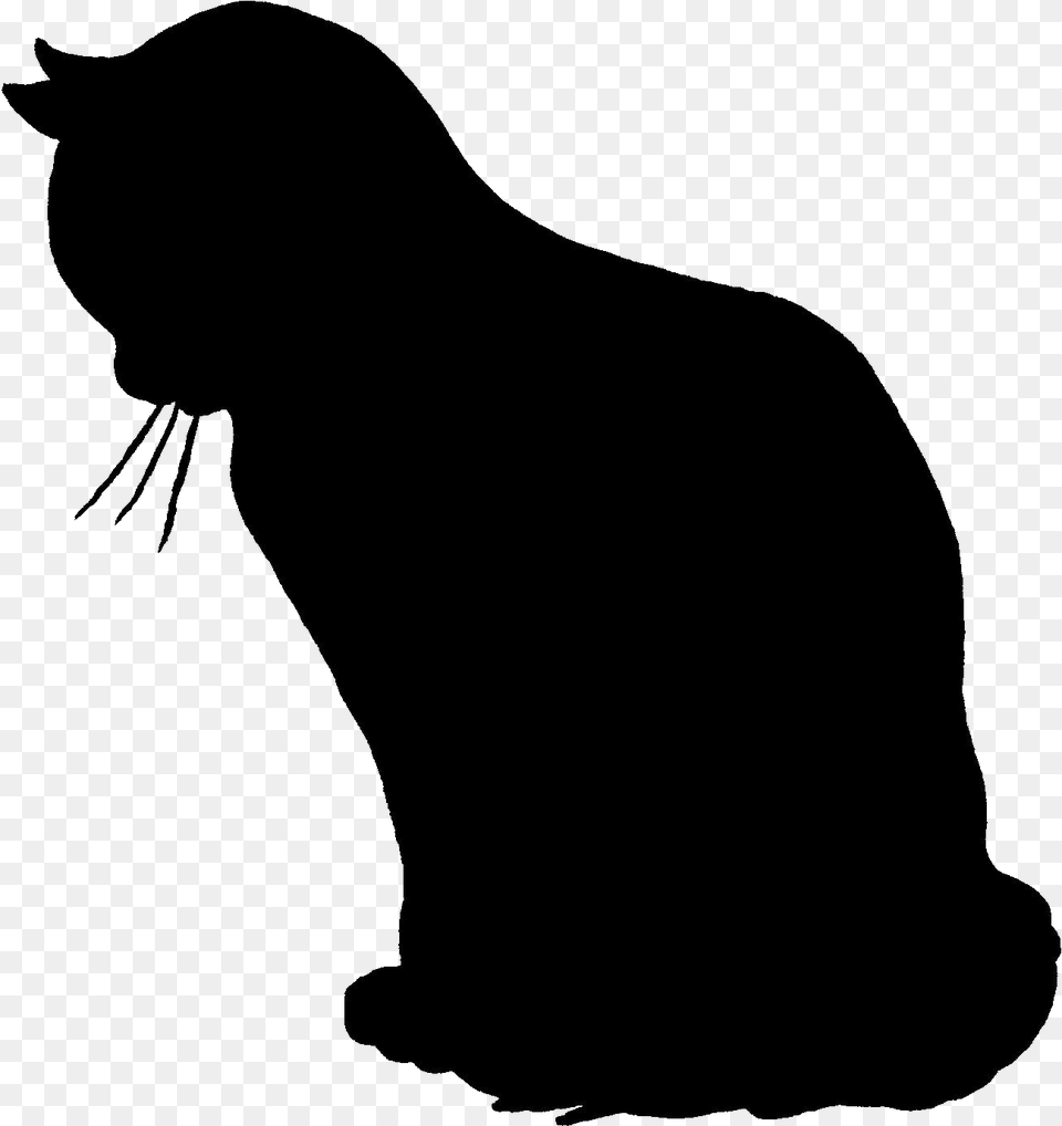 Cat Silhouette By Anitess D6u78i5 Cat Silhouette, Animal, Mammal, Pet, Panther Png