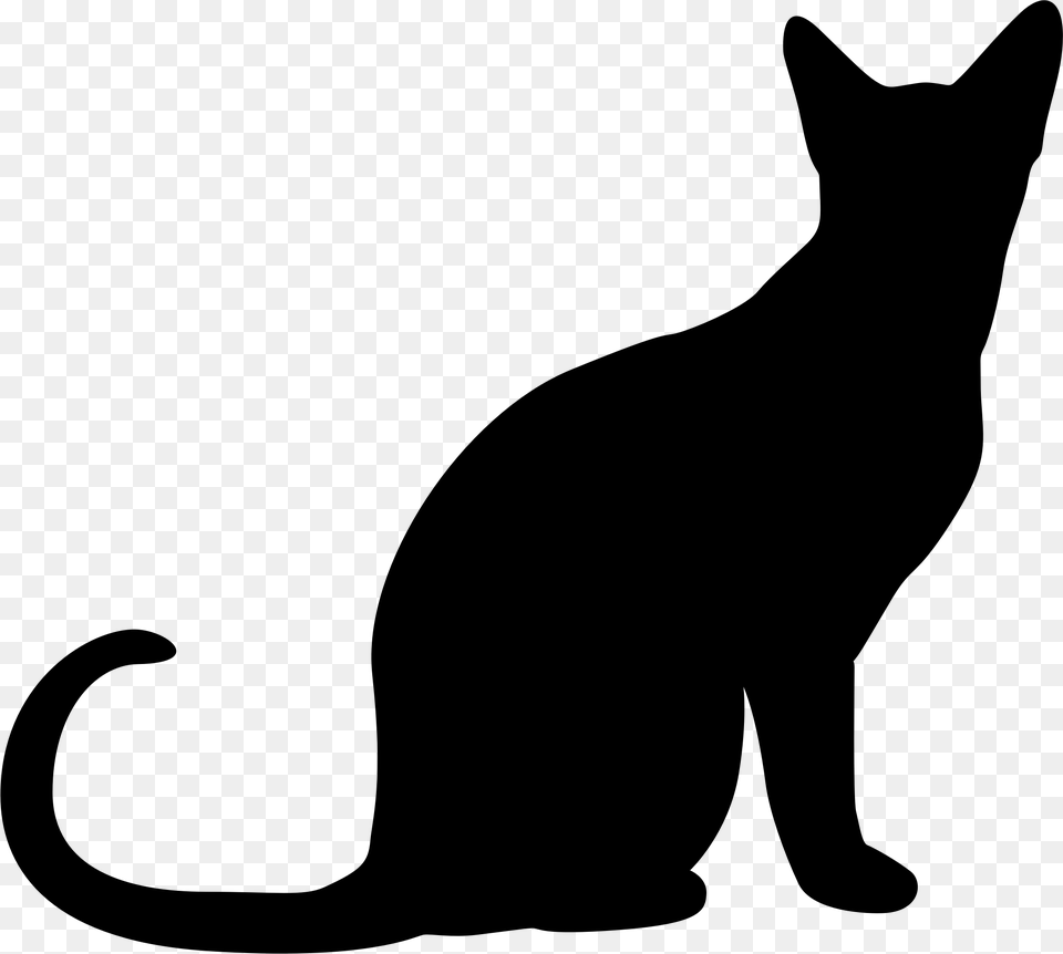 Cat Silhouette Clip Art, Gray Free Transparent Png