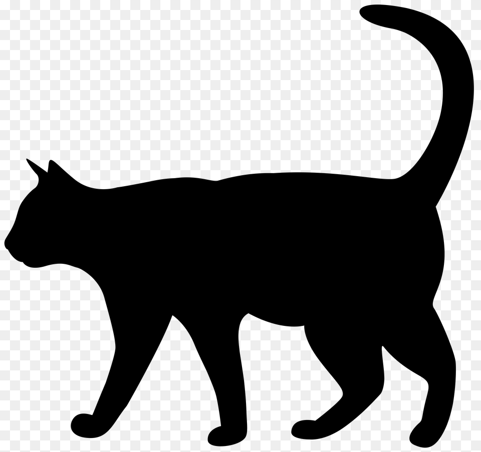 Cat Silhouette Clipart, Stencil, People, Person Free Transparent Png