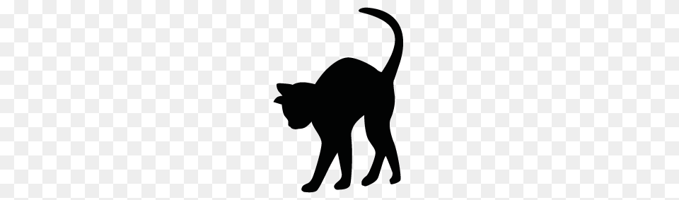 Cat Silhouette Clipart Clipart, Animal, Mammal, Pet Png