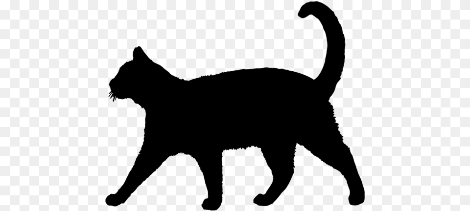 Cat Silhouette Clipart Graphic Freeuse Library Cat Cat Silhouette, Gray Png Image