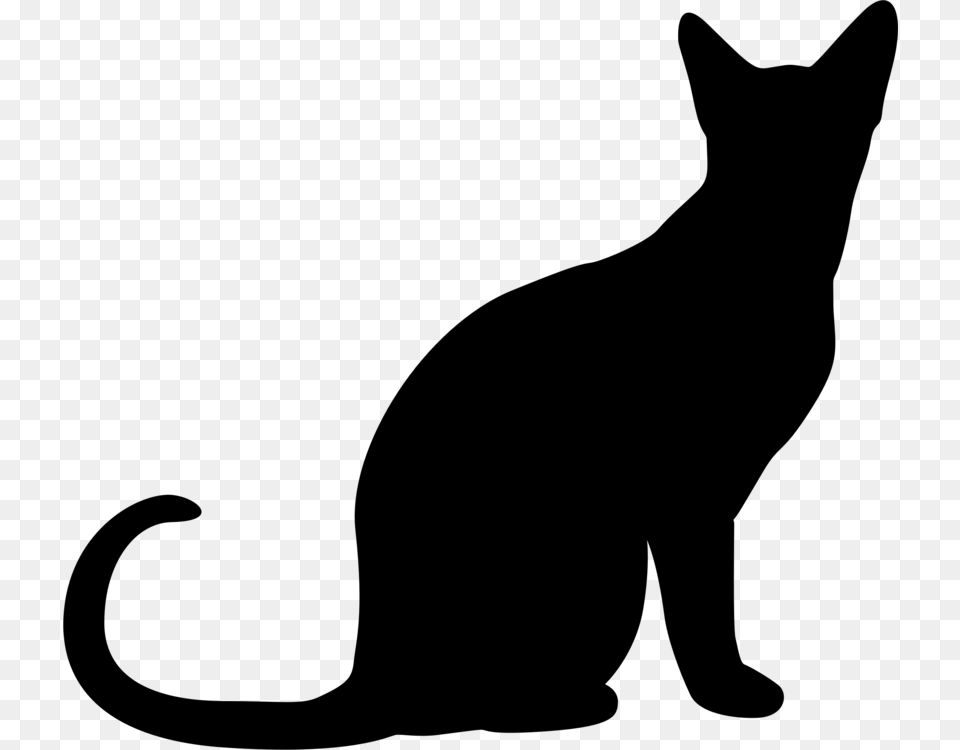 Cat Silhouette Kitten Drawing Download, Gray Free Transparent Png