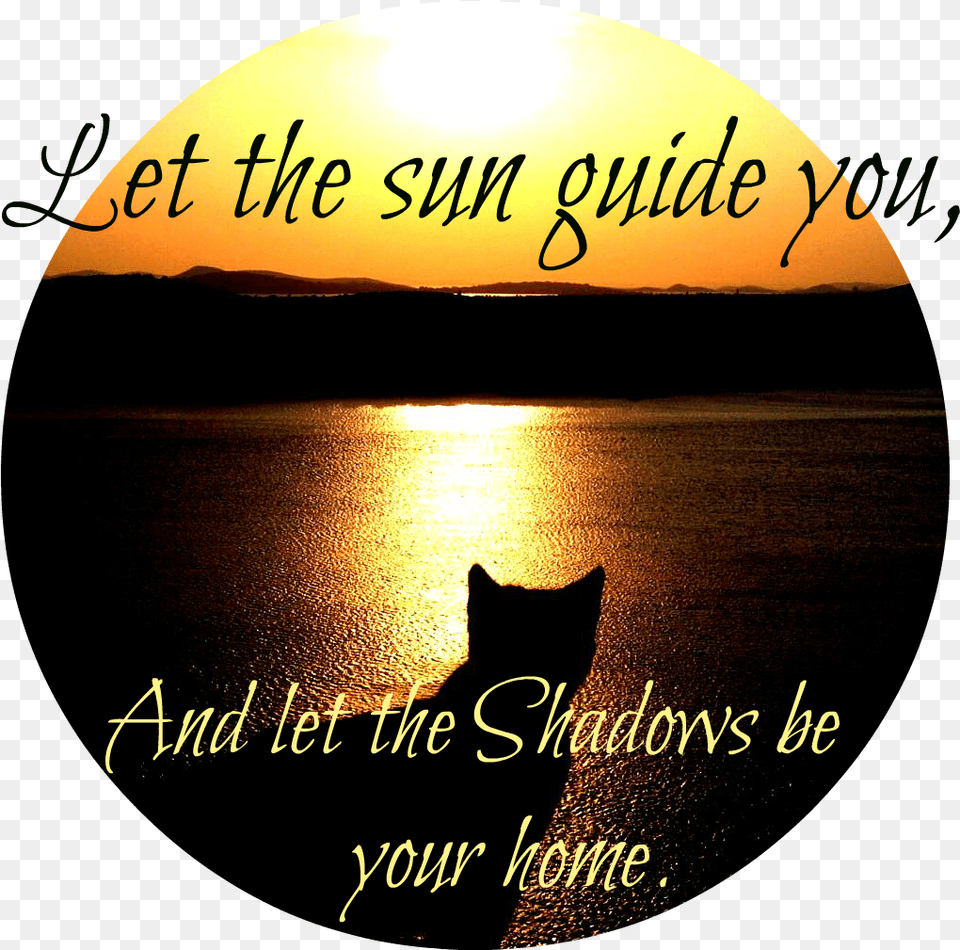 Cat Silhouette River Sun Sunset Stuff High Contrast Poster, Nature, Outdoors, Sky, Photography Png