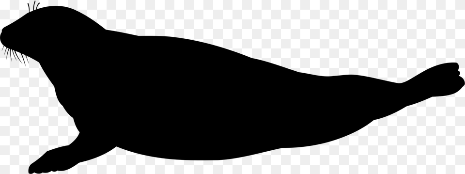 Cat Silhouette Sea Lion Black Download, Gray Free Transparent Png