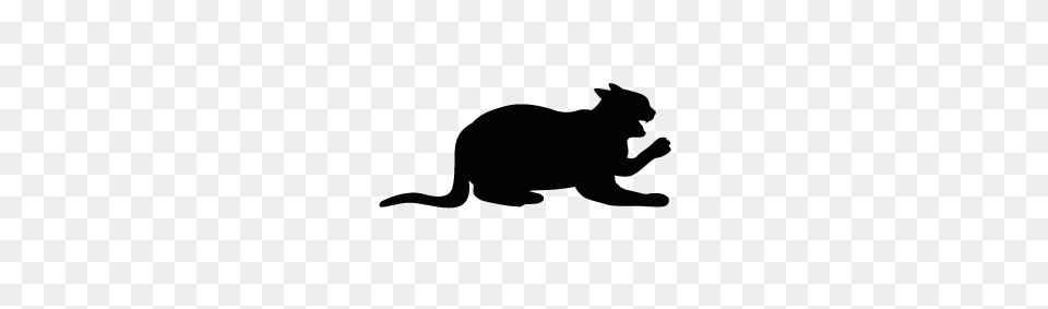 Cat Silhouette Silhouette Of Cat, Animal, Mammal, Pet Free Transparent Png