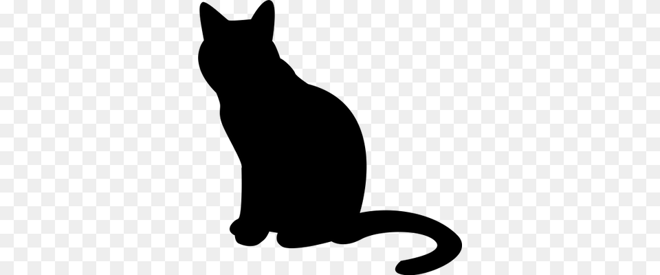 Cat Silhouette Transparent, Animal, Mammal, Pet, Black Cat Png