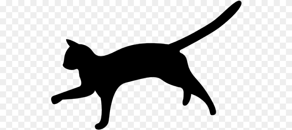 Cat Silhouette Vector Black Cat Shape Logo, Bow, Weapon, Animal, Mammal Free Transparent Png