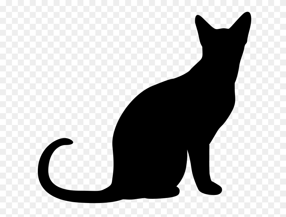 Cat Silhouettes Cat Silhouette Vector Cliparts, Gray Png