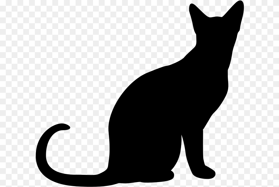 Cat Silhouettes Cat Vector, Gray Free Png