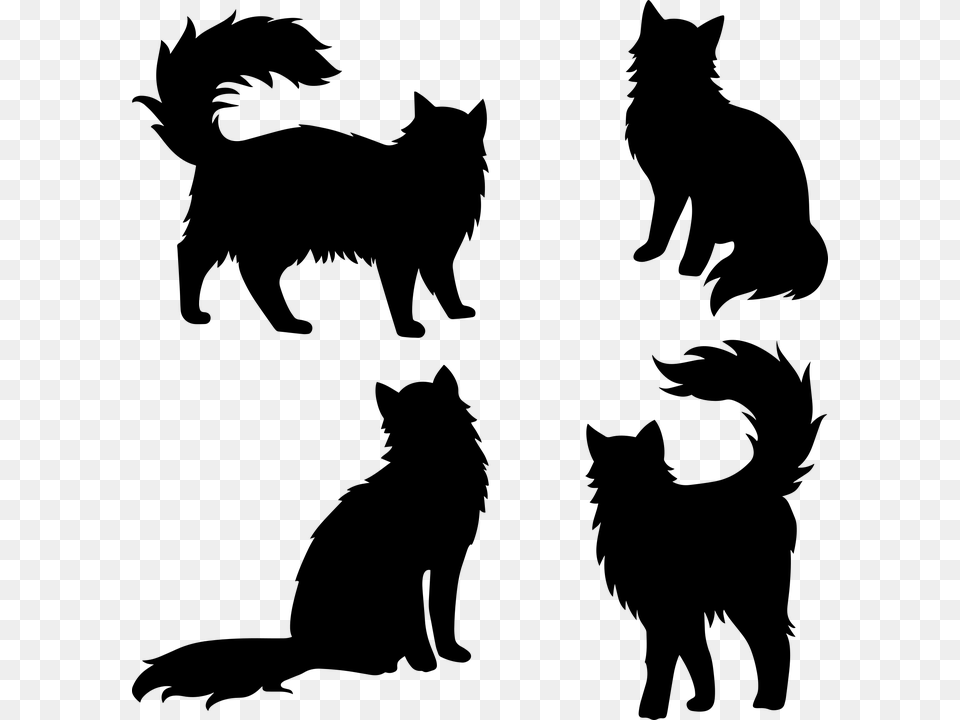 Cat Silhouettes Furry Cat Tail Cute Domestic Cat, Gray Free Png