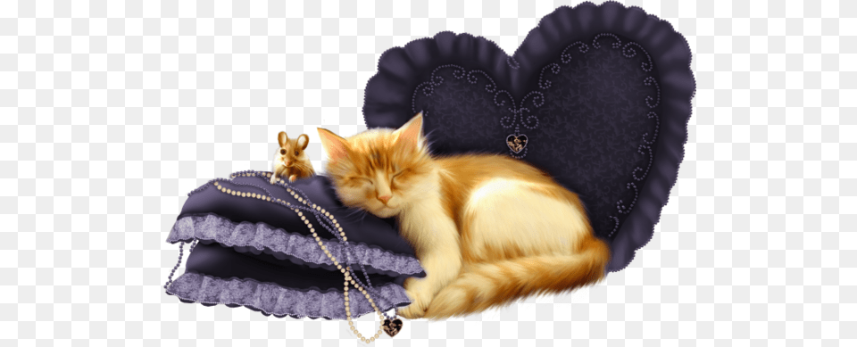 Cat Sleeping Cat, Accessories, Animal, Mammal, Pet Free Png Download
