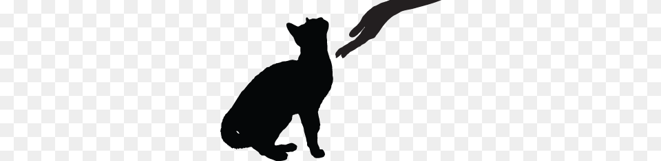 Cat Tail Speak Community Cats Tnr, Animal, Mammal, Pet Free Transparent Png