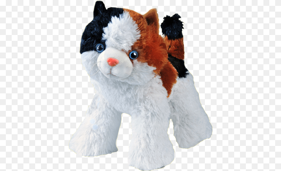 Cat Teddy, Plush, Toy, Teddy Bear Png