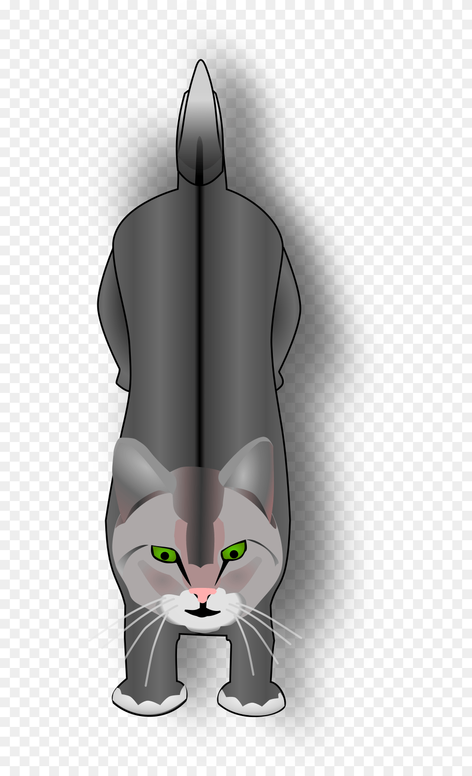 Cat Top View, Animal, Mammal, Pet, Smoke Pipe Free Png Download