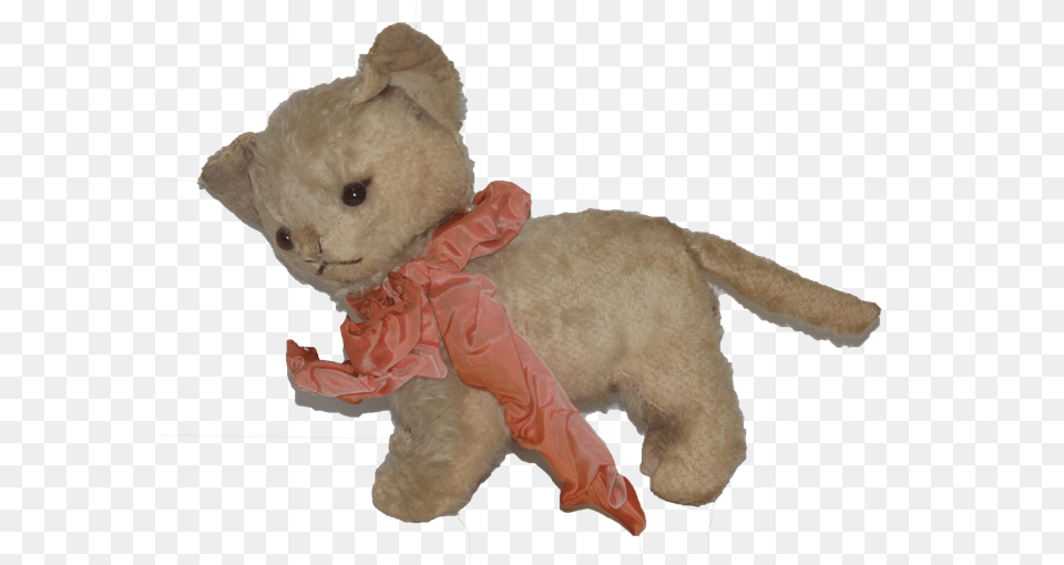 Cat Toy, Plush, Teddy Bear, Animal, Bear Png Image
