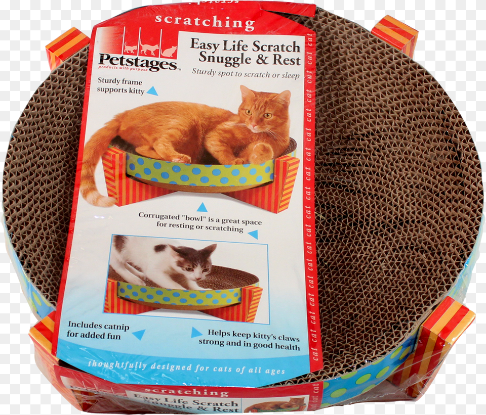 Cat Toy, Abyssinian, Animal, Mammal, Pet Free Png