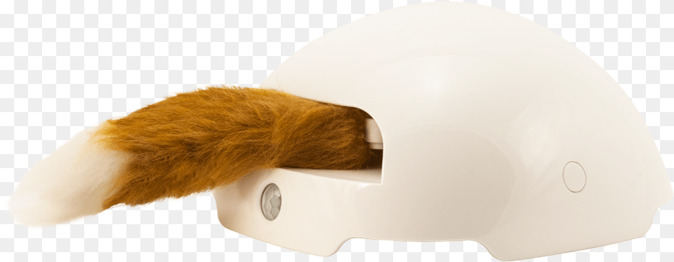 Cat Toy, Clothing, Hardhat, Helmet, Crash Helmet Png Image
