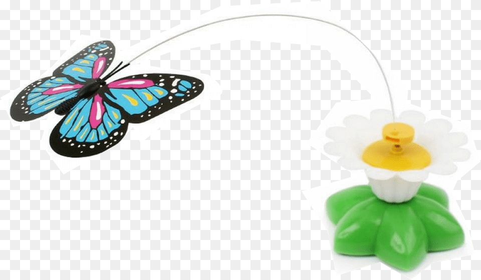 Cat Toy, Accessories, Animal, Insect, Invertebrate Free Png Download