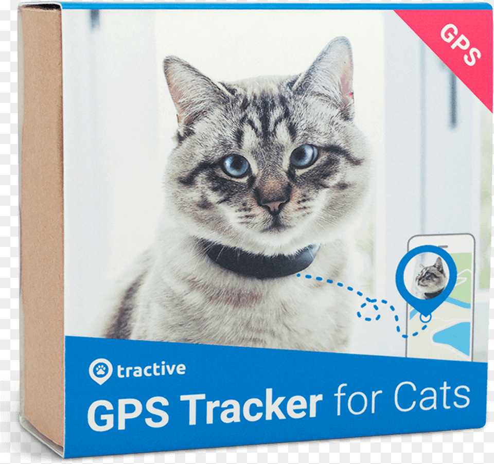 Cat Tracker, Animal, Mammal, Pet, Text Png Image
