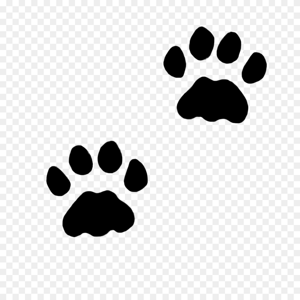 Cat Tracks Clipart Winging, Text Free Png Download