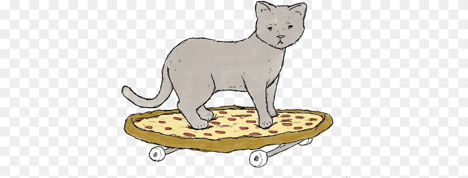 Cat Transparent And Pizza Get Meowta Here, Person, Animal, Mammal, Pet Png
