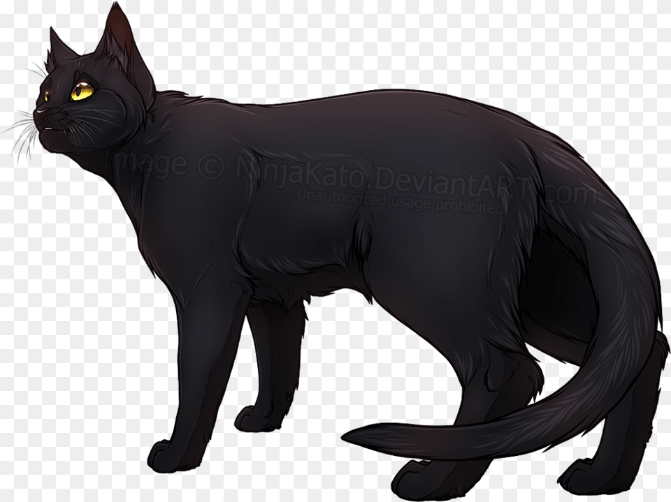 Cat Digital Black Cat Animal, Mammal, Pet, Black Cat Free Transparent Png