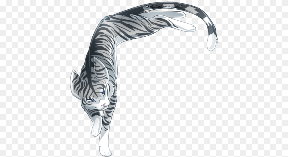 Cat Transparent Tumblr Silverstream, Appliance, Blow Dryer, Device, Electrical Device Png Image