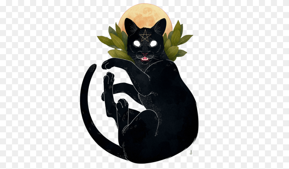Cat Tumblr, Animal, Mammal, Pet, Black Cat Png Image