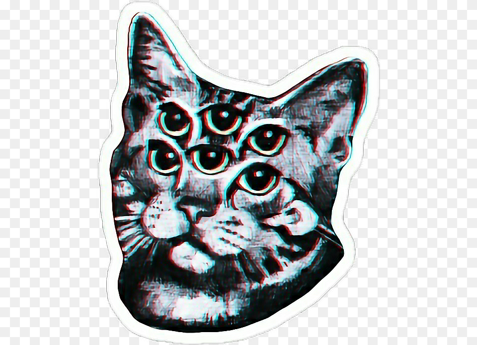 Cat Tumblr Cool Awesome Alien Vaporwave Trippy Cat, Person, Animal, Mammal, Pet Png Image