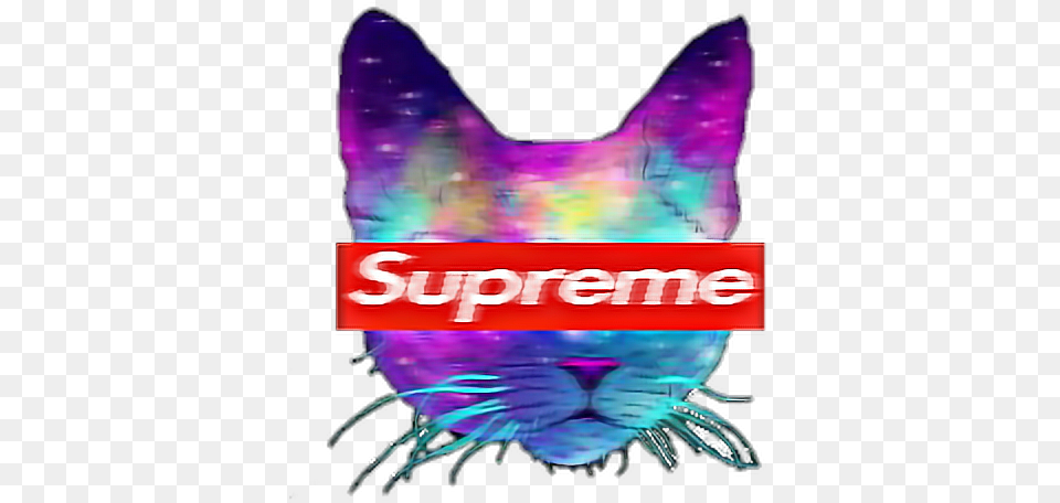 Cat Tumblr Supreme Cool Catsofpicsart Supreme, Purple Free Png Download