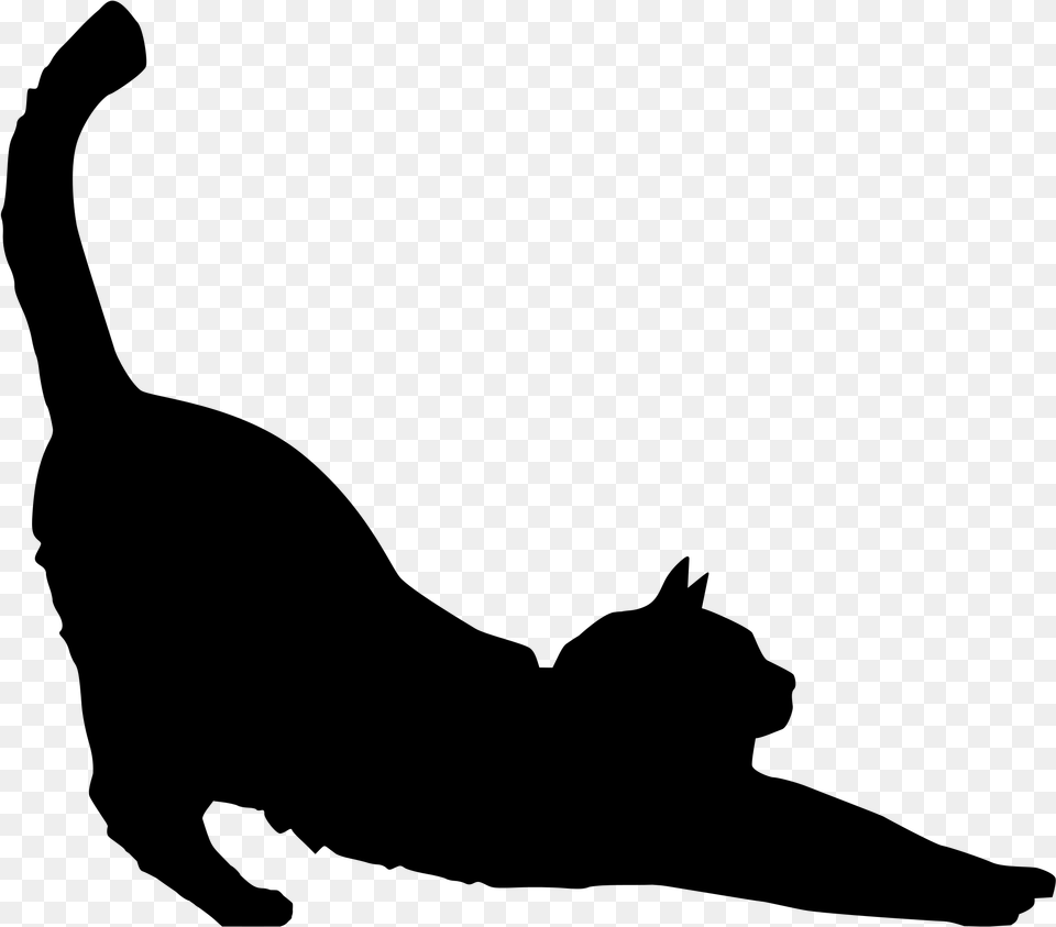 Cat Vector Cat Stretching Silhouette, Gray Free Png Download