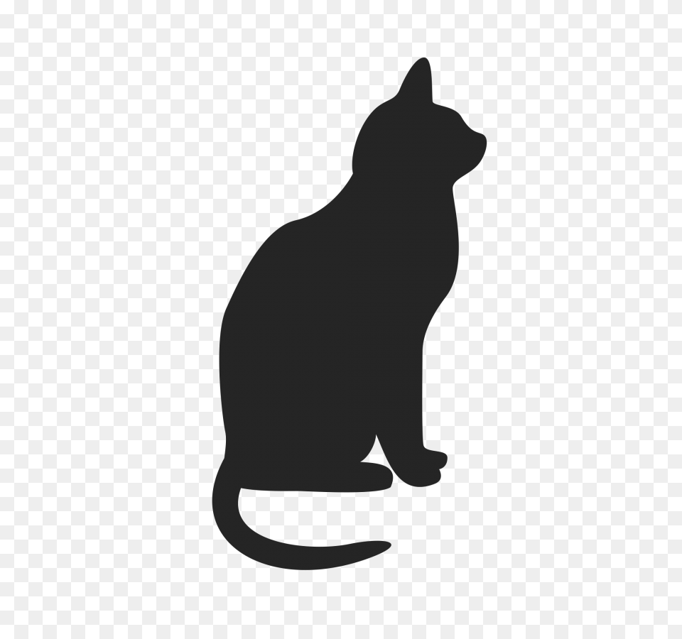 Cat Vector Background Image Download, Animal, Mammal, Pet Free Transparent Png