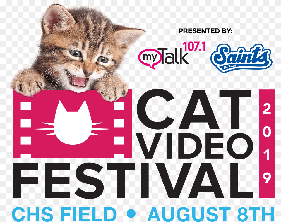 Cat Video Festival Presented Mytalk And The Paul Saints Kitten, Animal, Mammal, Pet, Advertisement Free Png