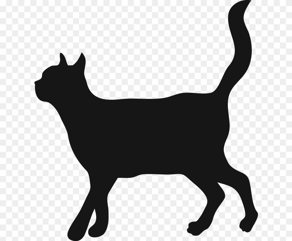 Cat Walking Clipart Banner Stock Cat Walking Vet Kedi Cekmekoy, Livestock, Animal, Person, Silhouette Free Transparent Png