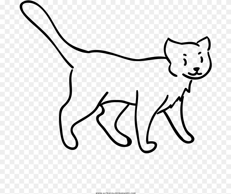 Cat Walking Coloring, Gray Free Transparent Png