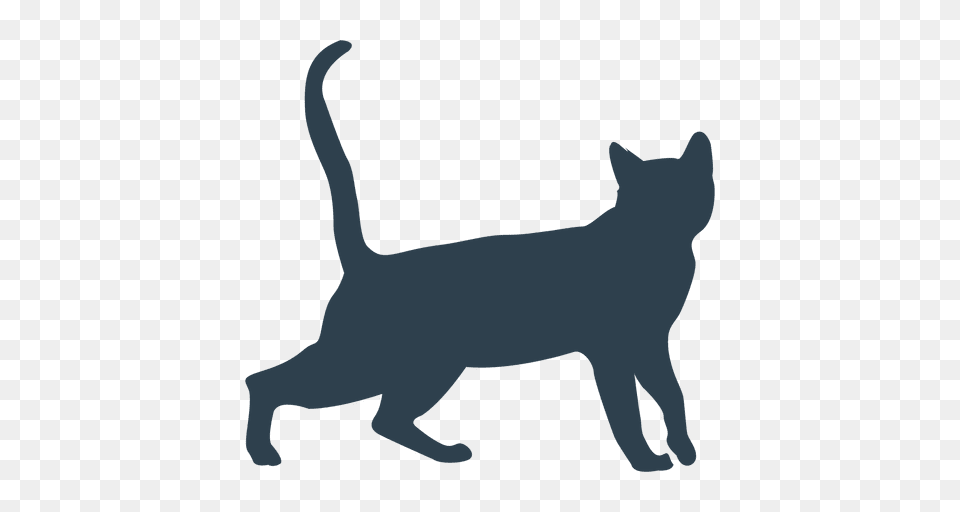 Cat Walking Silhouette, Animal, Mammal, Pet Free Transparent Png