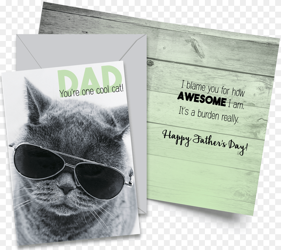 Cat Wearing Aviator Glasses, Accessories, Advertisement, Poster, Sunglasses Free Png Download