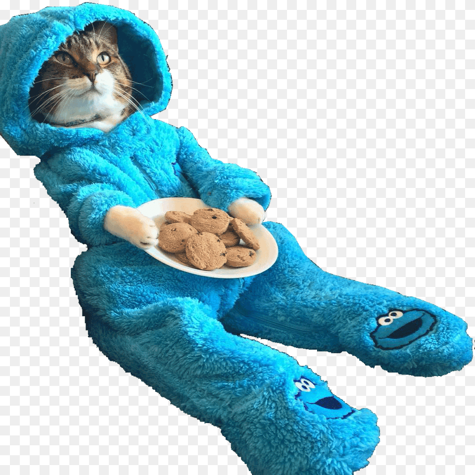 Cat Wearing Cookie Monster Onesie Cutouts, Animal, Mammal, Pet, Toy Free Transparent Png