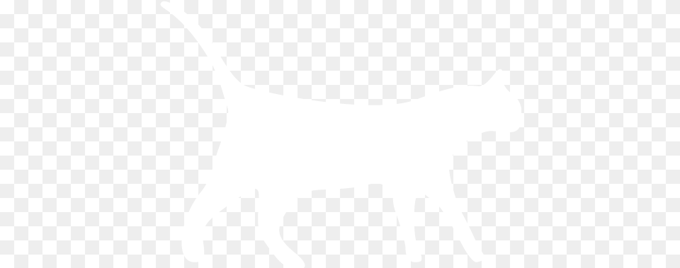 Cat White Tail Cat Icon White, Silhouette, Stencil, Animal, Kangaroo Png