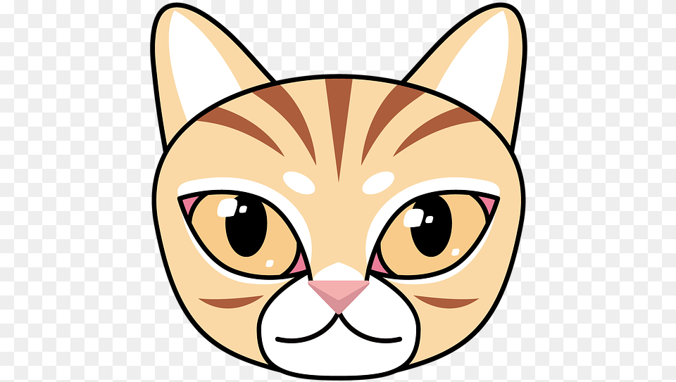 Cat Winner Of The Tabby Animal Cute Cartoon Kitty Asian, Mammal, Pet, Fish, Sea Life Png